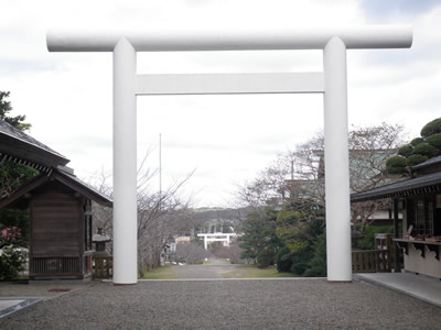 torii06.jpg